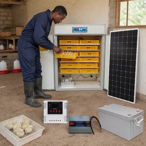 Incubateur d'œufs solaire commercial 1056 œufs, couveuse automatique pour distributeurs de volailles - Product Image 3