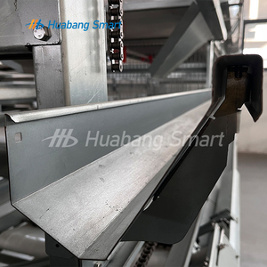 275g/ ㎡   Sistema de Jaulas para Pollos Tipo H Galvanizadas en Caliente, Recolección Automática de Huevos, 3-8 Niveles, Maquinaria para Avicultura, ISO CE - Product Image 6