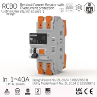 Disjoncteur différentiel 2P 36mm RCBO 40A avec protection contre les surintensités, en cuivre et plastique, industriel, IEC EN61009-1 pour CAS