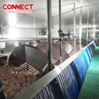 Ligne d'abattage automatique pour volailles, machine d'abattage, échaudoir, éplucheur, système d'abattage de poulets et de canards