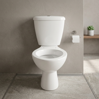 Produits sanitaires en porcelaine pour salle de bain, céramique, WC deux pièces, WC asiatique, WC indien, WC occidental, cuvette de toilette, fabrication en usine