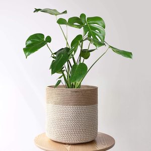 Panier tressé en coton panier de jardin grand pot de fleurs panier fait main pour salon, blanc brun gris - Product Image 5