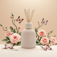 Diffuseur de parfum plat à roseaux, flacon vide, pierre aromatique, nouvelle arrivée, adorable petite lune, huile parfumée pour la tête, Innovation Vodka