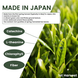 Matcha Puro de Uji, Grado Ceremonial, Té Verde Japonés en Polvo Premium, Auténtico de Kioto, Primera Cosecha, Lata de 100g - Product Image 3