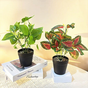 Planta Artificial Verde Bonsái de 28cm de Altura, Duradera, Decoración Interior en Maceta para Sala de Estar, Balcón, Escaparate - Product Image 2