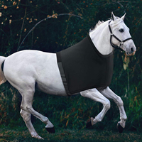 Gilet élastique personnalisé de haute qualité pour cheval, protège-épaules léger, protège-poitrine, housse de protection pour le ventre, équipement équestre