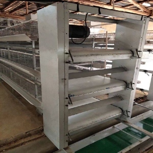 Grosir sabuk konveyor pupuk ayam PP unggas sangkar baterai untuk pupuk - Product Image 6