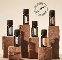 Diffuseur d'arômes à ultrasons avec prise USB, capacité de 10 ml, huile essentielle soluble dans l'eau, parfum, humidificateur, soin du visage