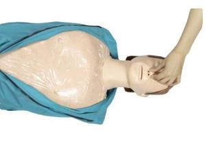 Maniquí de Enfermería para RCP de Medio Cuerpo con DEA para Ciencias Médicas - Product Image 2