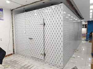 Congelatore mobile <span class=keywords><strong>solare</strong></span> da <span class=keywords><strong>20</strong></span> piedi per container, per la conservazione a freddo di pesce, verdura, frutta e gelato - Product Image 5