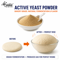 Poudre de levure active, levures à haute viabilité, matériau de levage spécial pour la boulangerie et les aliments à base de blé fermenté