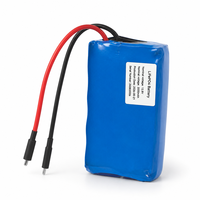 Batterie rechargeable LiFePO4 12,8 V 6 Ah, plus de 2000 cycles, batterie lithium haute puissance pour alimentation de secours UPS et alimentation de communication