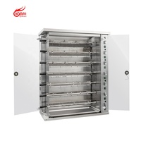 Machine de rôtissoire de poulet à gaz 28 poulets commerciaux Bbq Kebab rôti