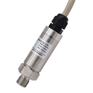 Hiệu Suất Cao Chi Phí Thấp 4-20mA 0-10V Cảm Biến Áp Suất Hydro/Oxy - Product Image 3