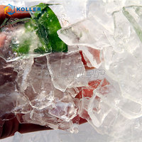 Machine à glace en plaques Koller PM10 1 tonne, fabrication de glace double face pour le refroidissement des fruits de mer