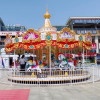 Manège miniature d'extérieur à prix abordable, 12 places, luxe, pour enfants, usage domestique, fêtes foraines, parcs d'attractions, en fibre de verre