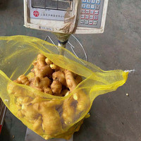 Prix du fournisseur chinois gingembre frais, prix du marché, Nutrition riche gingembre frais