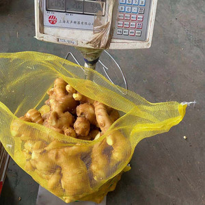 Giá Thị Trường Gừng Tươi Giá Thị Trường Giàu Dinh Dưỡng Gừng Tươi Từ Nhà Cung Cấp Trung Quốc - Product Image 3