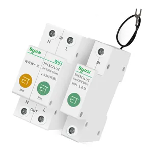 Smart MCB Double Poles Intelligent reclosing WiFi Home Timer wifi mcb circuit breaker