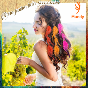 Barrettes à cheveux en plumes pour concerts en plein air, fêtes nuptiales, foires de la Renaissance - Clip à pression chic bohème - Product Image 4