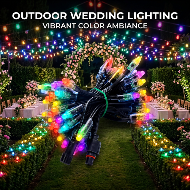 High Brightness Ip68 Waterproof Led Modules Point Lights DC 5V 12V RGB WS2811 Permanent Outdoor Led Pixel Light