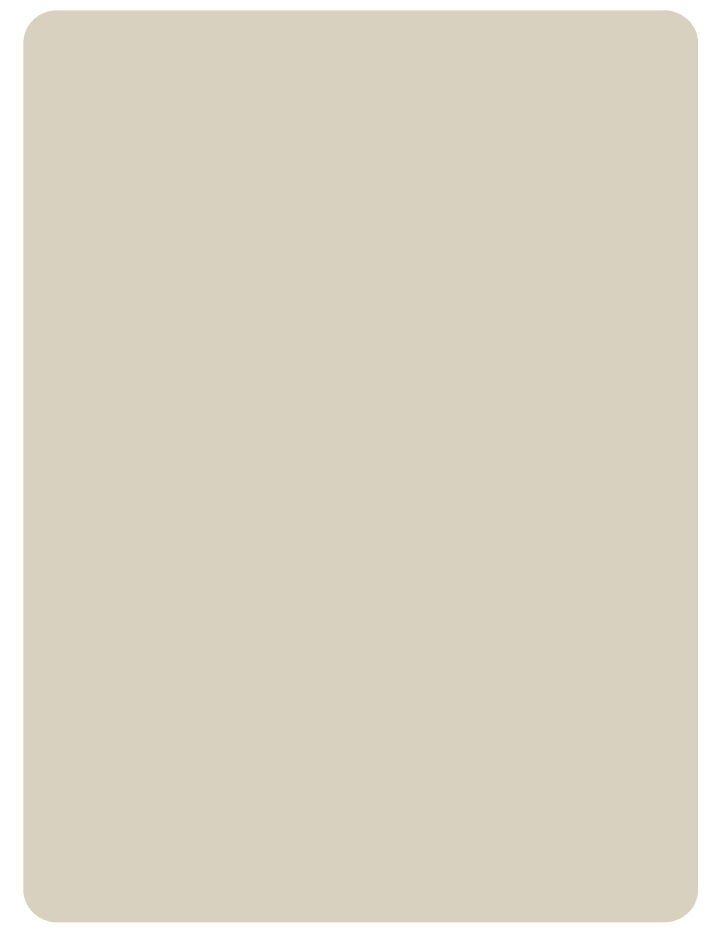 Gris 29,5*19,5*0,1 CM