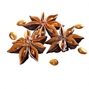 Low Price Best Quality Made in Vietnam Star Anise Bulk Supply - Product Image 1