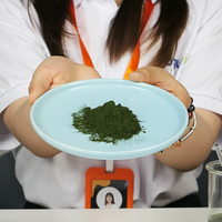 Groene Gummies met Probiotica Spirulina Chlorella Fruit Groenten Paddenstoelenextract Voedingssupplement Vegan Snoepjes