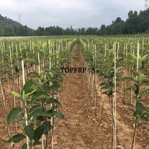 UV Resistant FRP <b>Garden</b> Stakes, Nursery Stakes, Tree Stakes - Product Image 3