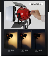 Luz LED Roja para Fotografía, Iluminación de Relleno 3200-5500k, Lámpara Profesional para Audio, Video y Cine, Luz Continua con Puertas de Barn Door