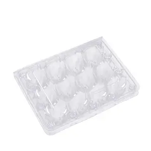 12 células Jumbo grande codorna ovos plástico bandeja caixa recipientes em preço barato PET