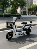 Vélo Électrique Urbain de Haute Qualité en Gros, 14 pouces, 350W, 48V, Cadre en Acier à Haute Teneur en Carbone, Autonomie 55-65km, Moto Électrique pour Adultes