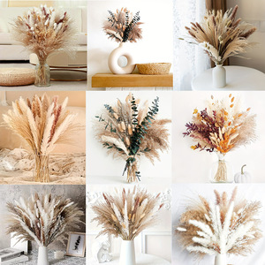 Bouquet de fleurs séchées très prisé : Herbe de la Pampa, Herbe de la Queue de Lapin, Eucalyptus, Petite Herbe de la Pampa – Idéal pour la décoration intérieure et les mariages - Product Image 5