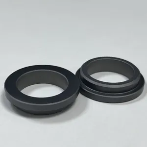 Kunden spezifischer stationärer Silikonkarbid-Dicht ring für Gleit ring dichtung g4