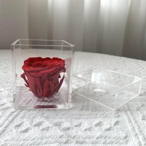 Lovebay, venta al por mayor, flores preservadas, acrílico, larga duración, eterno para siempre, <span class=keywords><strong>rosa</strong></span> <span class=keywords><strong>roja</strong></span> <span class=keywords><strong>natural</strong></span> preservada en caja transparente acrílica - Product Image 5