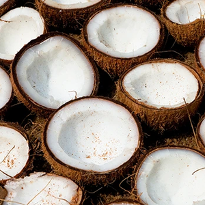 Aceite de coco virgen extra sin refinar ETRUN ALISA de etiqueta privada para masaje corporal para la piel y el cabello aceite portador prensado en frío - Product Image 4