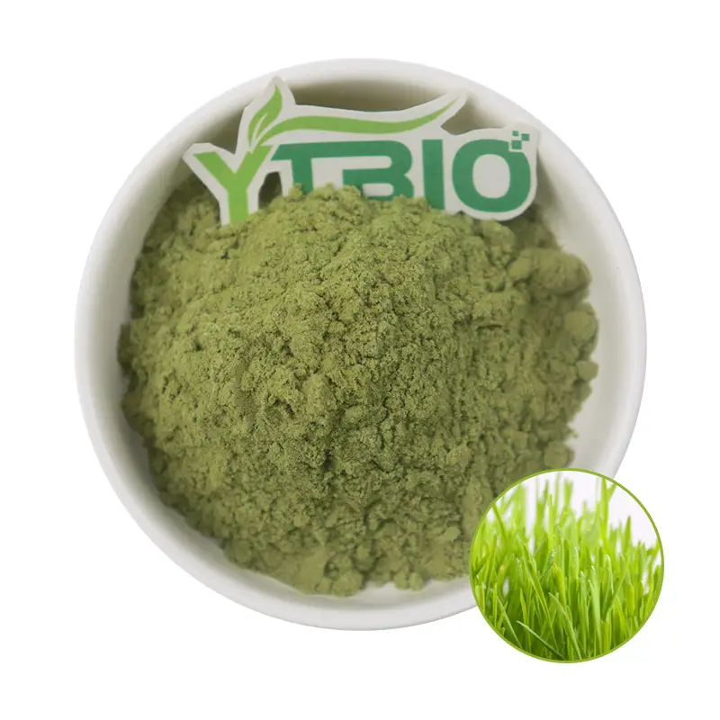 Weizengras-Extrakt Weizengras-Extrakt bio-Weizengras-Pulver