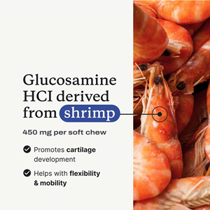 Suplemento Masticable para Articulaciones OEM/ODM con Extracto Vegetal, Alta Glucosamina, Mejillones <span class=keywords><strong>de</strong></span> Labio Verde y Omega-3 para Apoyo a la Movilidad <span class=keywords><strong>de</strong></span> Cadera y Articulaciones - Product Image 5