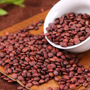 Suan Zao Ren biji tanggal tulang belakang kering biji Jujube biji rempah-rempah <span class=keywords><strong>Semen</strong></span> zizipi spinossae mentah/butiran panggang diproses rasa kapulaga - Product Image 4