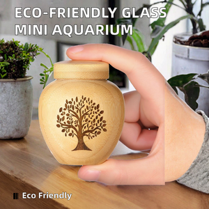 Eco-Friendly Modern <b>Glass</b> Round <b>Terrarium</b> Fish for with Wooden Base Self-Cleaning Mini Aquarium for Office Desk Home Decor - Product Image 2