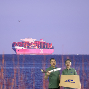 Barato DDP aire/Mar servicios de carga tarifas de envío FBA agente de carga de China a EE. UU./Europa/Reino Unido/Canadá shippingchina - Product Image 5