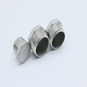 Stainless Steel 316 Bspt Male Hex Head Plug