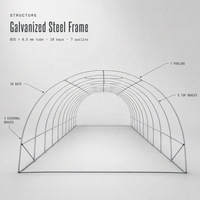 Serre tunnel ventilée 1000x400x230cm, structure en tube galvanisé, couverture en filet PE, 20 fenêtres, 10 baies, culture saisonnière