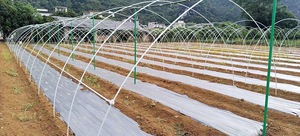 High Strength Frp Rods Natural Color Flexible Fiberglass Round Sticks And Stake With Custom Cutting Processing Service - Product Image 4