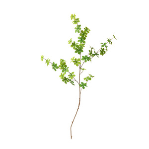 Branche de cloche d'eucalyptus artificielle Dream Castle, 30cm-100cm, décoration d'intérieur de bureau, fleur en soie PE écologique - Product Image 5