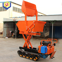 Taishan Niu Mini-Raupenbagger mit Dieselmotor, 500kg Kipplader, Frontlader, Getriebe, Motor, Hydraulikpumpe, niedriger Betriebsstundenzähler