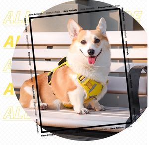 Harnais pour chien de compagnie pour petits et moyens grands chiens chats extérieur respirant réfléchissant chiot sangle de poitrine Chihuahua carlin Labrodor fournitures - Product Image 2