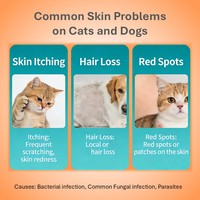 Shampooing anti-démangeaisons écologique Pevet Cool pour chiens et chats, soin apaisant de la peau, solution de nettoyage quotidienne