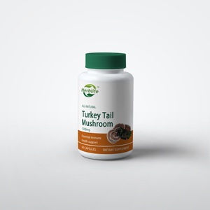 Suplemento de Extracto de Hongo Cola de Pavo Orgánico OEM/ODM - Apoyo Inmunológico - Sin OMG, Apto para Veganos, Sin Gluten - 90 Cápsulas - Product Image 1