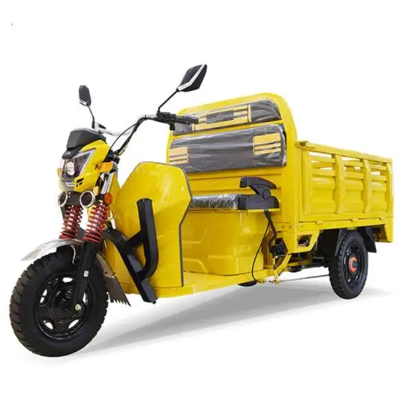 Hot selling Manufactured in Chinese factories electric cargo tricycle